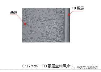 TD覆層處理組織結構.webp.jpg TD覆層處理組織結構.webp.jpg