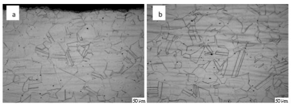 圖6  904L熱軋態(tài)固溶處理后顯微組織(a,邊部;b,心部).png 圖6  904L熱軋態(tài)固溶處理后顯微組織(a,邊部;b,心部).png